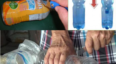 chai bẫy muỗi bằng bia songkhoe247.info