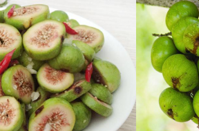 lợi ích từ trái sung