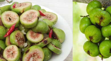 lợi ích từ trái sung