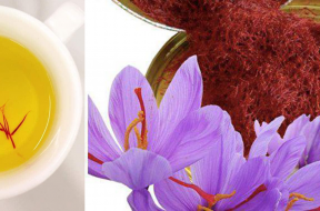 nhụy hoa nghệ tây songkhoe247.info