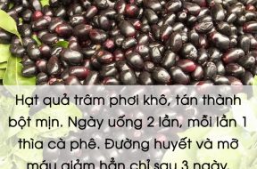 hạt trâm phơi khô giảm mở máu và đường huyết