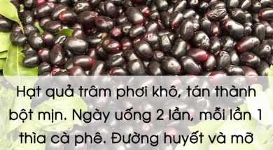 hạt trâm phơi khô giảm mở máu và đường huyết