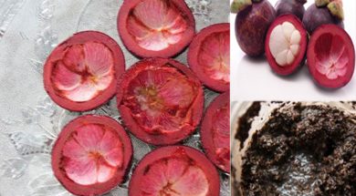 Vỏ măng cụt – songkhoe247.info