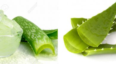 nha đam thức ăn bổ dưỡng songkhoe247.info