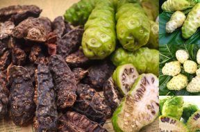 Trái nhào trị đau lưng songkhoe247.info