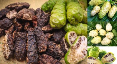 Trái nhào trị đau lưng songkhoe247.info