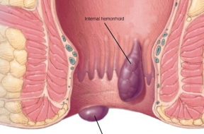 20210306_020645_906606_42.max-800×800