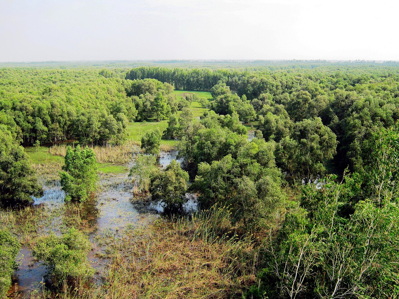 Rừng tràm Trà Sư, An Giang