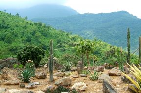 Vườn quốc gia Ba Vì, Hà Nội
