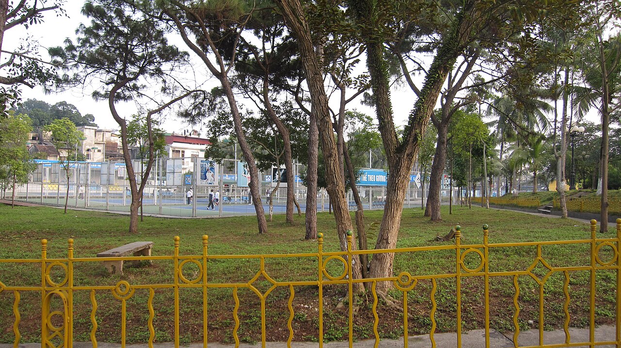 Vườn thông ở Lâm Thao, Phú Thọ