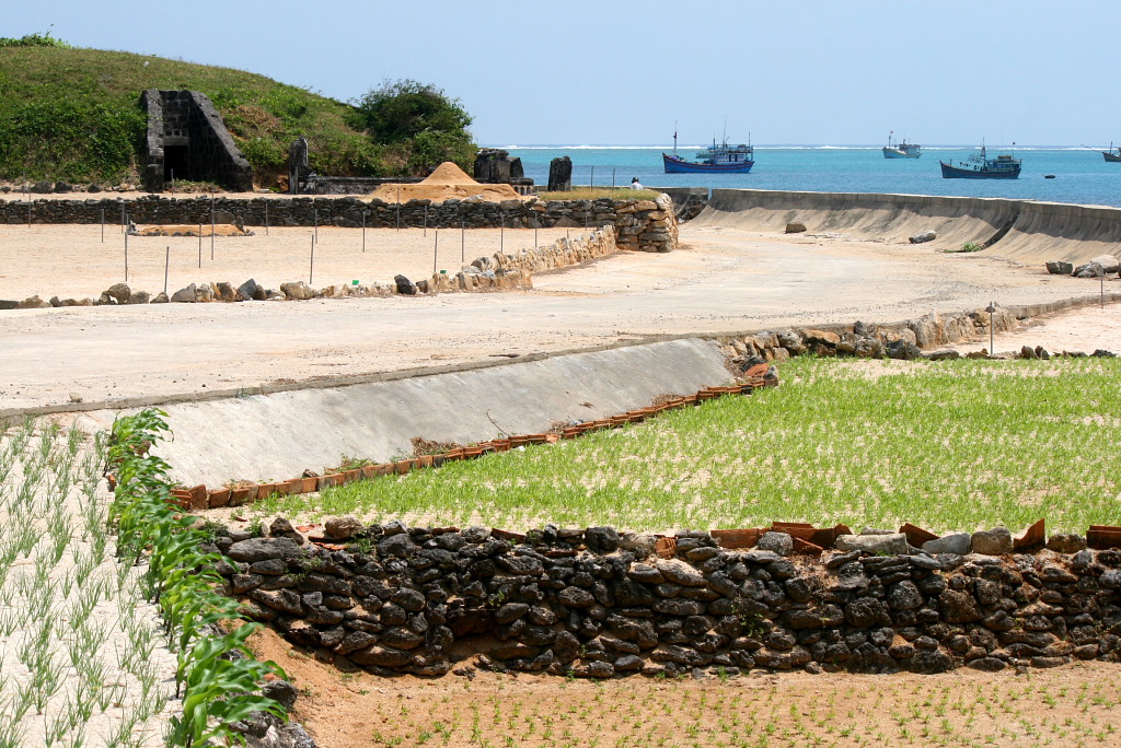 Đảo Lý Sơn, Quảng Ngãi