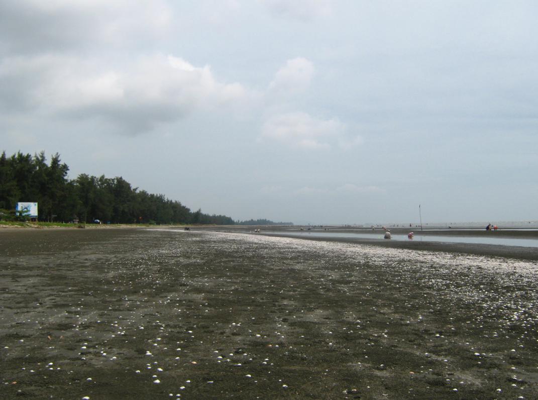 Biển Cần Giờ