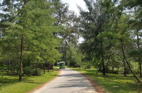 Đảo Cô Tô, Quảng Ninh