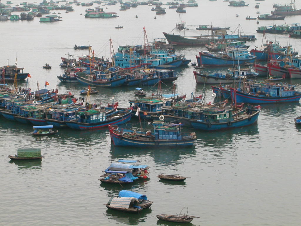 Vịnh Hạ Long