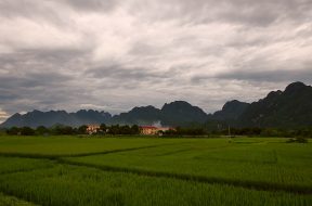 Kim Bôi, Hòa Bình