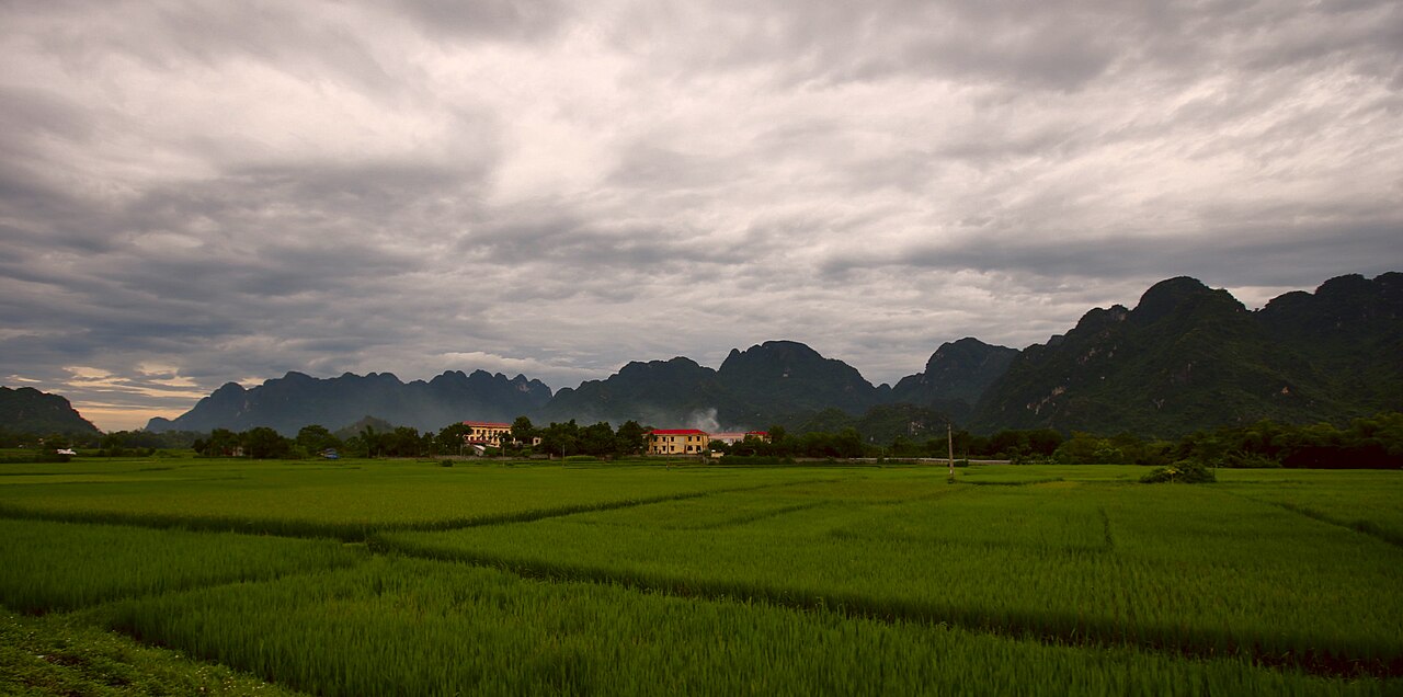 Kim Bôi, Hòa Bình