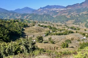 Ruộng bậc thang Sa Pa