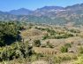 Ruộng bậc thang Sa Pa