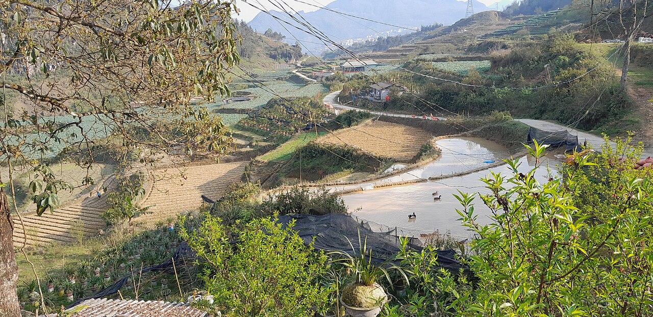 Ruộng bậc thang vùng núi Lào Cai